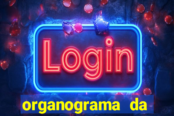organograma da cacau show